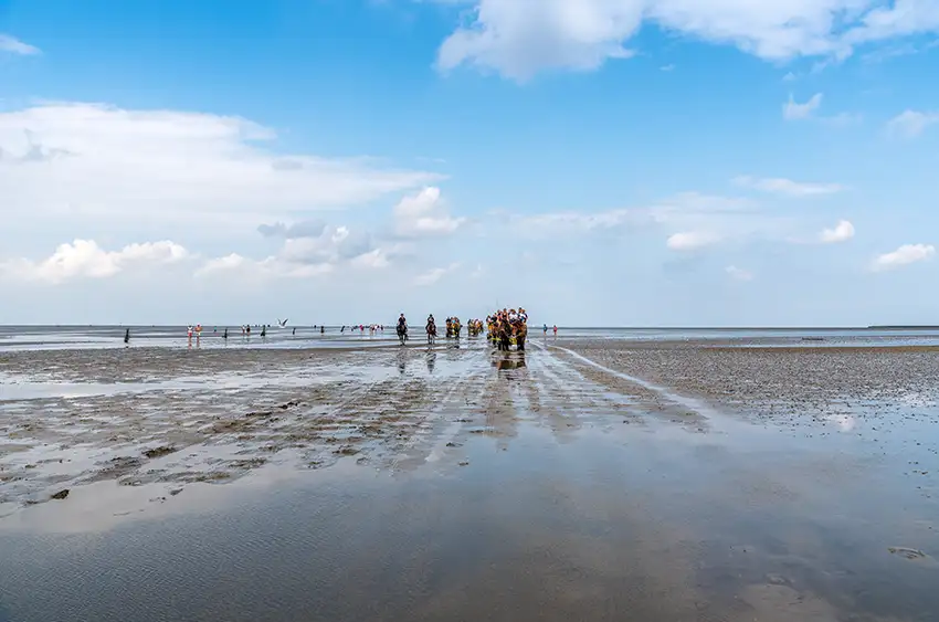 SEKO2025-Cuxhaven-Wattwanderung-Wattenmeer-Senatorenkonferenz-JCI